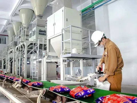 Cổ phiếu hoá chất DGC được định giá trên 120.000 đồng
