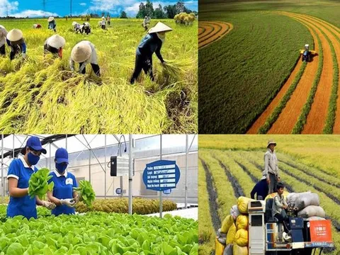 Ra mắt sổ tay hướng dẫn nhiệm vụ của chính quyền cấp xã lĩnh vực nông nghiệp và môi trường