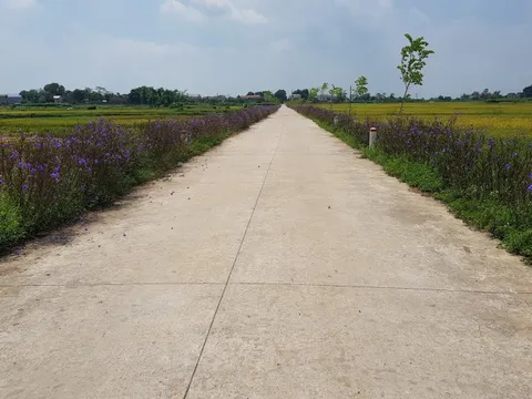 Hà Nội dẫn đầu cả nước về xây dựng nông thôn mới