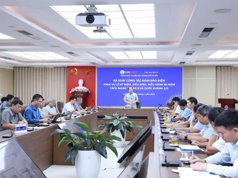 Bảo đảm cung cấp điện an toàn, ổn định cho dịp kỷ niệm 80 năm Cách mạng Tháng Tám và Quốc khánh 2/9