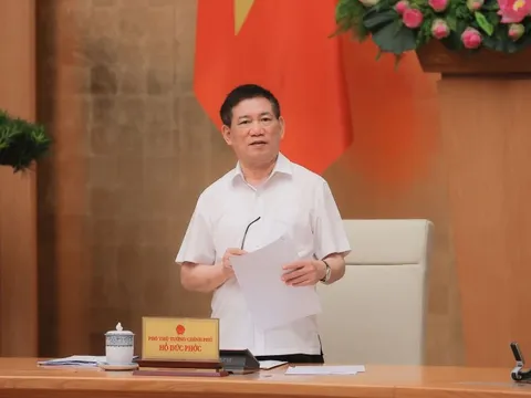 Phó Thủ tướng Hồ Đức Phớc chủ trì cuộc họp Ban Chỉ đạo cơ cấu lại các tổ chức tín dụng