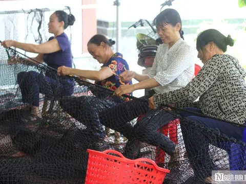 Tỉ mẩn với nghề đan lưới lồng ở làng Trung Sơn