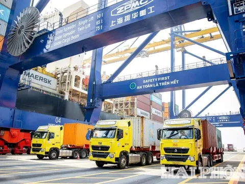 Cảng Hateco Hải Phòng đón tàu 200.000 DWT: Lãnh đạo thành phố đề nghị khẩn trương mở rộng hạ tầng