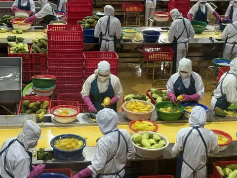 Xuất khẩu nông, lâm, thủy sản đạt gần 40 tỷ USD; cà phê lập kỷ lục mới