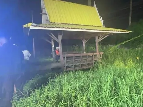 Đang đi dạo, người phụ nữ rụng rời tay chân khi thấy cảnh tượng đáng sợ