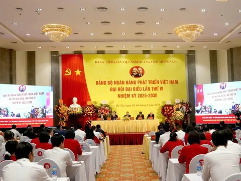 Ngân hàng Phát triển Việt Nam khẳng định vai trò định chế tài chính của Chính phủ