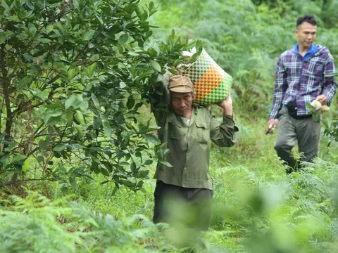 Gỡ rào cản vươn tới giấc mơ "tỷ đô" từ vùng đất Bắc Trung Bộ