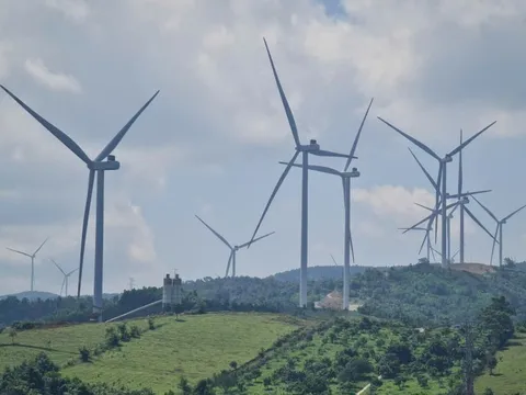 Quảng Trị: 21 dự án điện gió vận hành thương mại với tổng công suất 994,2MW