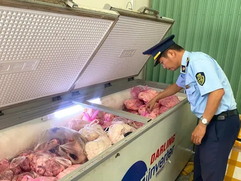 Gia Lai tăng cường giám sát, ngăn chặn dịch tả lợn châu Phi