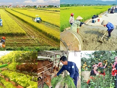 Nỗ lực thực hiện 3 Chương trình mục tiêu quốc gia đảm bảo thông suốt, liên tục