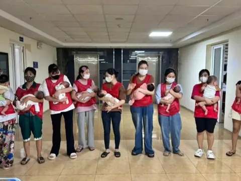 Triệt phá đường dây mang thai hộ giá 300-400 triệu đồng/ca