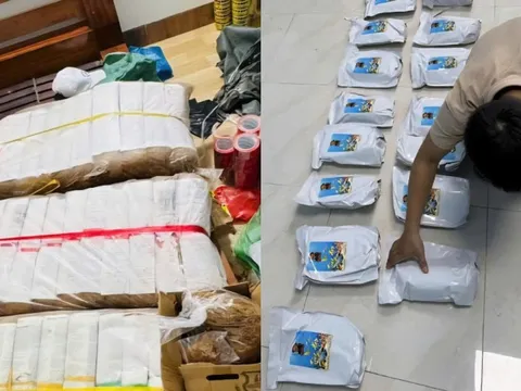 Đà Nẵng triệt xóa đường dây mua bán 'cỏ Mỹ' lớn nhất từ trước đến nay