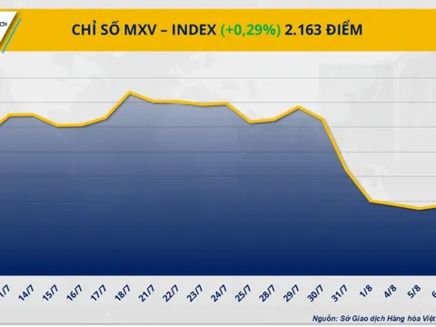 Sắc xanh lan tỏa, chỉ số MXV-Index tiếp đà phục hồi