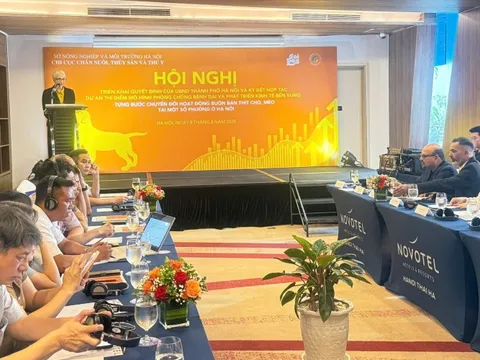 Thí điểm mô hình phòng bệnh dại và hỗ trợ chuyển đổi kinh doanh thịt chó, mèo