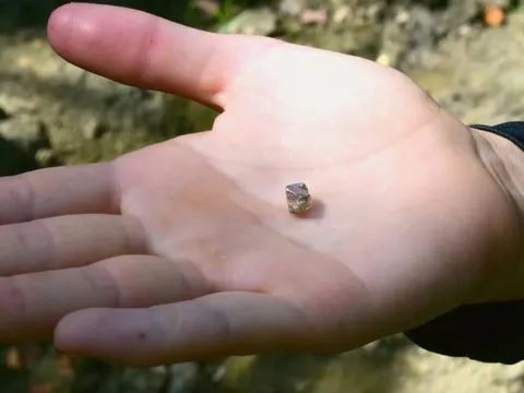 Đá vào thứ tưởng mạng nhện, cô gái phát hiện viên kim cương giá trị