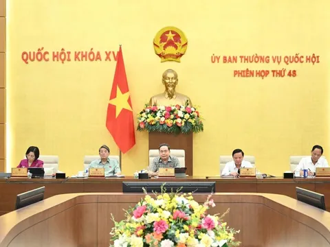 "Giám sát không cần phải đi những đoàn dềnh dang, rầm rộ"