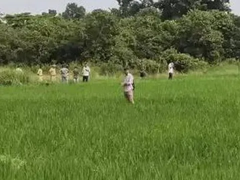 Đang làm ruộng, người đàn ông 65 tuổi bị hổ dữ vồ tử vong