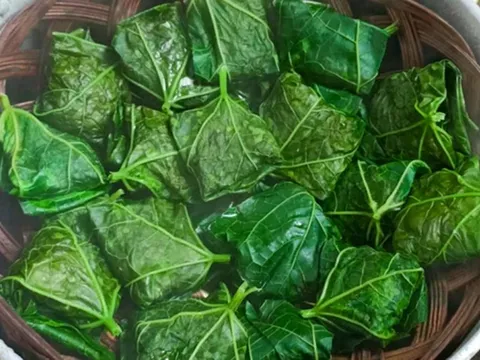 Đừng chỉ ăn quả, lá loại cây này quý như "nhân sâm người nghèo", ở quê mọc đầy bờ rào