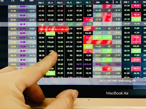 Tăng cường thanh tra các công ty đại chúng, công ty quản lý quỹ