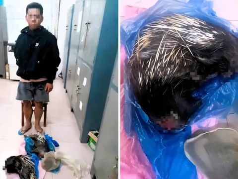 Bắt giữ thanh niên đặt bẫy, bán động vật rừng quý hiếm ở Đồng Nai
