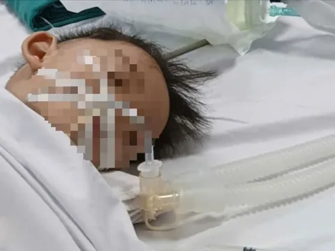 Bản tin 15/8: Kỳ tích cứu sống cháu bé 18 tháng tuổi bị đuối nước