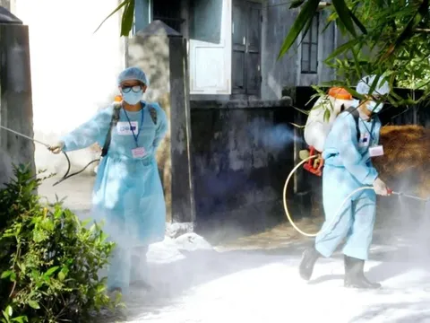 Liên cầu lợn ở người tăng đột biến,TP. Huế khuyến cáo phòng tránh