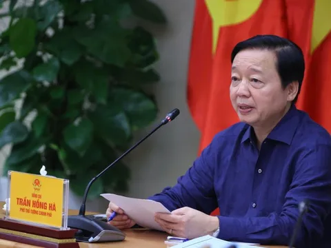 Ngăn dịch tả lợn châu Phi: Kiện toàn lực lượng thú y ở cơ sở, xây dựng hướng dẫn phòng dịch mới