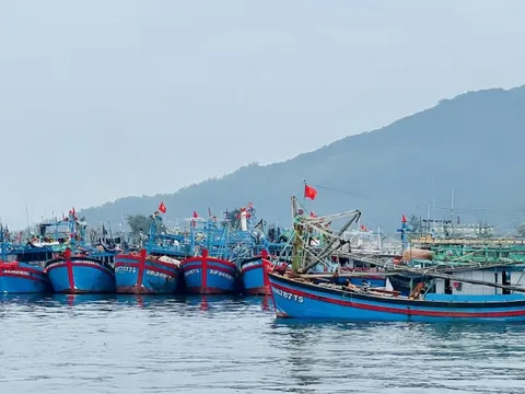 Đà Nẵng đặt quyết tâm cao nhất chấm dứt tình trạng vi phạm IUU