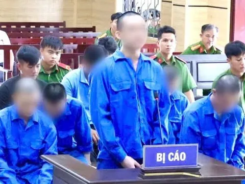 9 bị cáo lĩnh án vì hỗn chiến sau trận đá gà ăn tiền