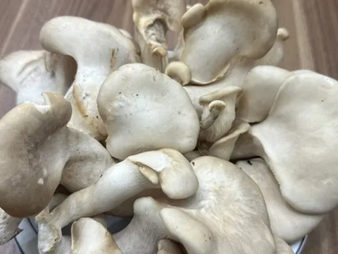 Loại nấm được ví như "hải sản của đất", vừa rẻ lại bổ dưỡng, cực sẵn ở chợ Việt