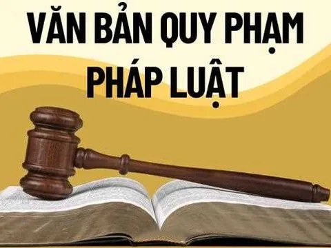 Bảo đảm chất lượng các dự án luật, đẩy nhanh tiến độ soạn thảo văn bản quy định chi tiết
