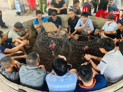 Quảng Ngãi: Triệt xóa điểm đá gà có 22 đối tượng đang sát phạt