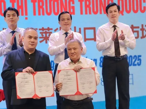 Gia Lai xúc tiến xuất khẩu nông sản vào thị trường Trung Quốc