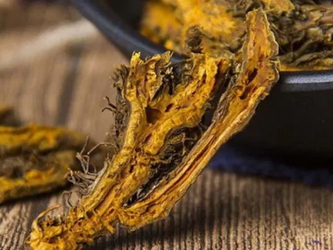 Loại cây dại trước ít ai ngó, nay lên núi nhổ bán "đút túi" hơn nửa triệu/kg