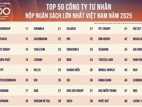 100 doanh nghiệp tư nhân dẫn đầu PRIVATE 100 nộp ngân sách 244.400 tỷ đồng