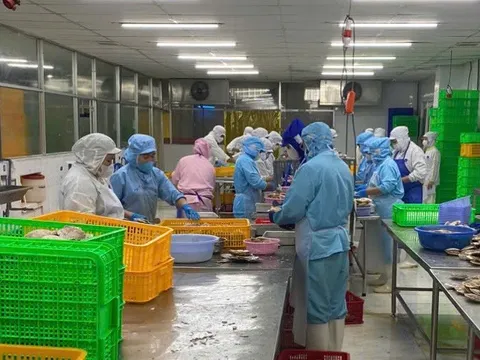 Cơ hội và thách thức cho nông sản Việt trước 'khoảng trống' tại thị trường EU