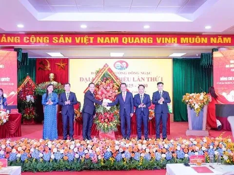 Xây dựng phường Đông Ngạc thành đô thị giàu đẹp, văn minh