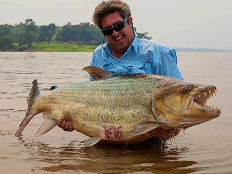 Cần thủ câu được con cá đáng sợ nặng 34kg trên sông