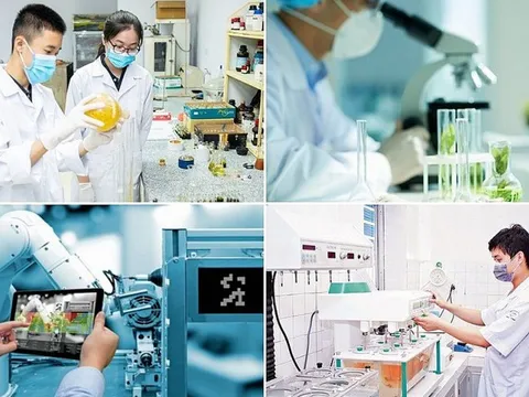 Ban hành khung hướng dẫn phát triển KHCN, đổi mới sáng tạo, chuyển đổi số