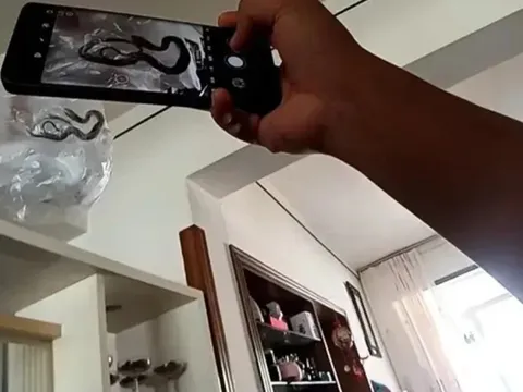 Vừa mở cửa vào nhà, cặp vợ chồng hoảng hốt khi thấy cảnh tượng đáng sợ trong phòng khách