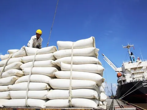 Giữ vững giá trị xuất khẩu gạo Việt từ những sản phẩm chất lượng, độc quyền