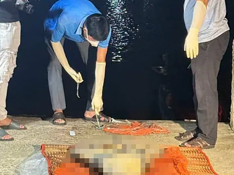 Phát hiện thi thể không nguyên vẹn trôi dạt trên biển