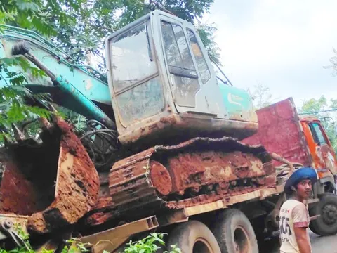 Gia Lai: Xe tải bất ngờ mất phanh tông chết 18 con bò của người dân