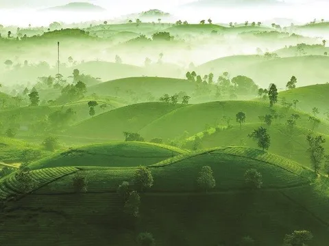 Quảng bá điểm đến nổi tiếng và sản vật vùng miền qua SEA Games 31