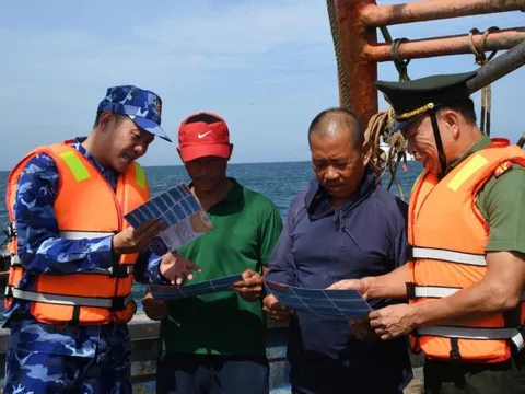 Quảng Ngãi tập trung giải quyết dứt điểm các tồn trong chống khai thác IUU