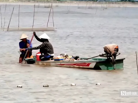 "Cần câu cơm" của nông dân miền Tây trên cánh đồng nước trắng