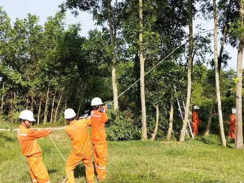 Ngành điện miền Trung triển khai ứng phó khẩn cấp với bão số 5