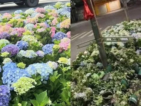 Công an Hà Nội sẽ xử lý nghiêm hành vi xả rác, giẫm nát cây hoa trong các buổi tổng hợp luyện