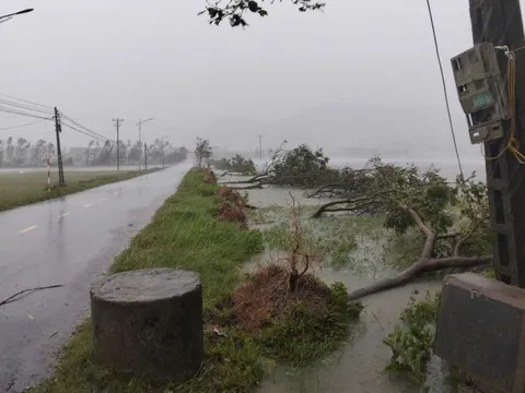 Bão số 5 đổ bộ gây gió mạnh, mưa lớn, Thủ tướng chỉ đạo tập trung ứng phó, bảo đảm an toàn tính mạng Nhân dân