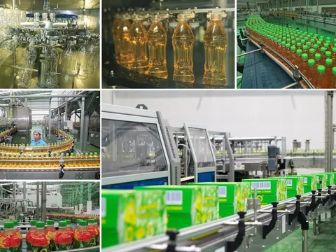 Lý do hàng triệu người tin dùng Trà Xanh Không Độ trong suốt gần 2 thập kỷ qua